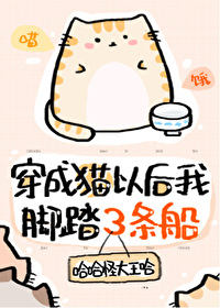 小猫咪能有什么坏心眼呢